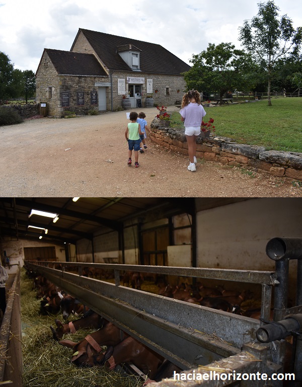 visitar granja de quesos con niños en Rocamadour