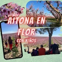 Aitona en flor el mar rosa