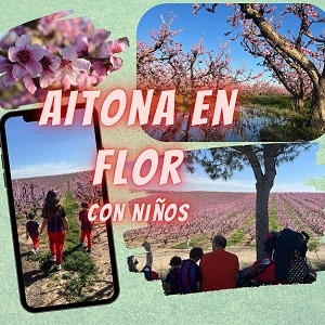 AITONA EN FOR EN AUTOCARAVANA CON NIÑOS