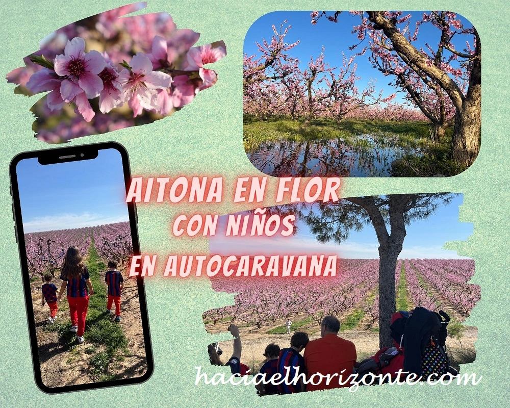 Aitona en flor en autocaravana, con niños en familia